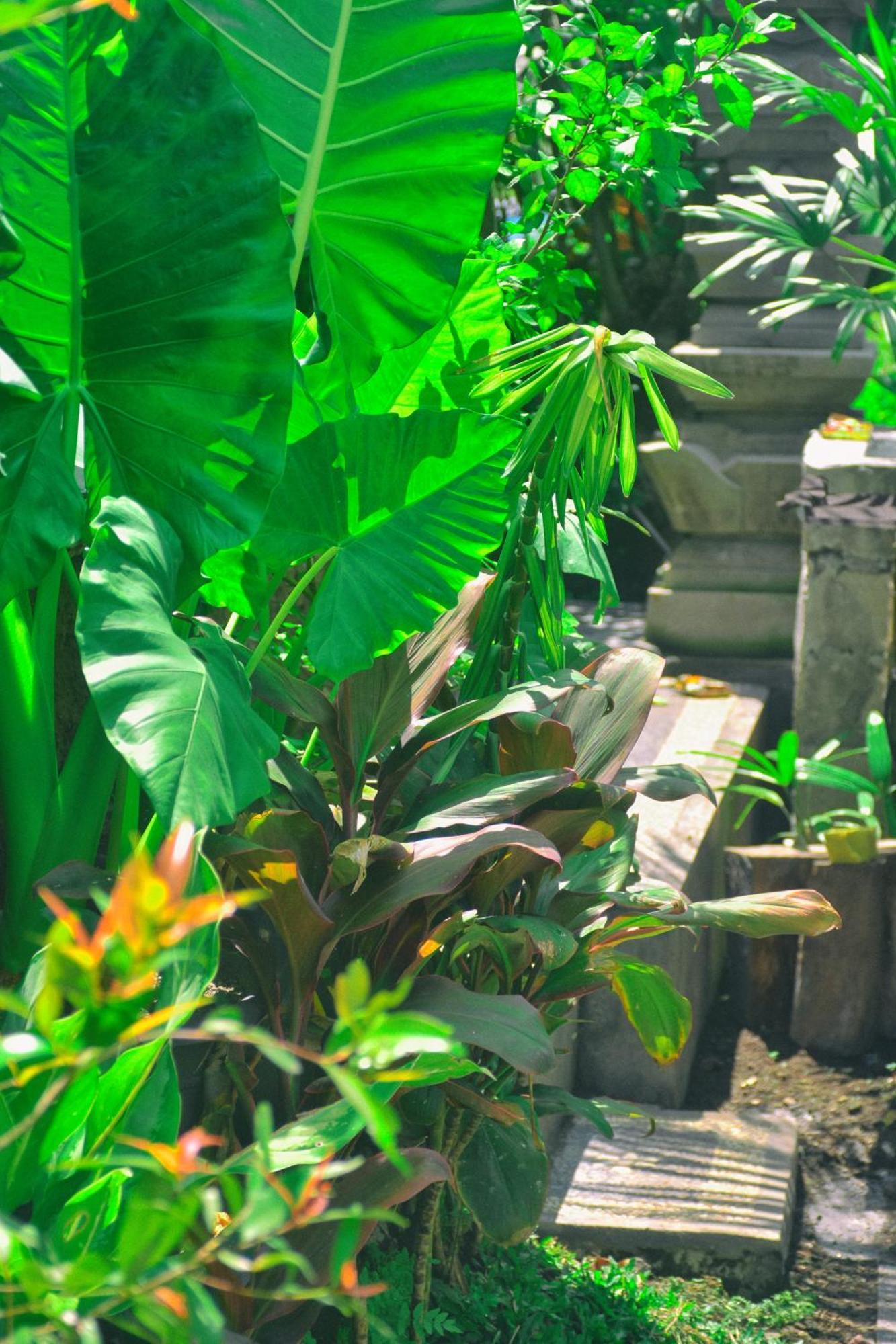 Ferienwohnung Ume Sita Ubud Exterior foto